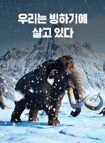 우리는 빙하기에 살고 있다