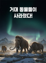 거대 동물들이 사라졌다!